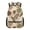 Beige Tropical Palm, variant on Patriotic Bass Fish Backpack for Teen Boys Large Capacity School Bookbag Elementary Teen Travel Daypack Lightweight Hiking Camping Vacation