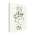 thumbnail image 2 of Vision Studio 'Sage Green Seaweed VI' Canvas Art, 2 of 3