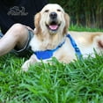 thumbnail image 5 of PcEoTllar No Pull Dog Harness for Small Dogs, Mesh Breathable Padded Dog Vest Harness Step-in No Choke Adjustable Dog Harness (Blue), 5 of 11