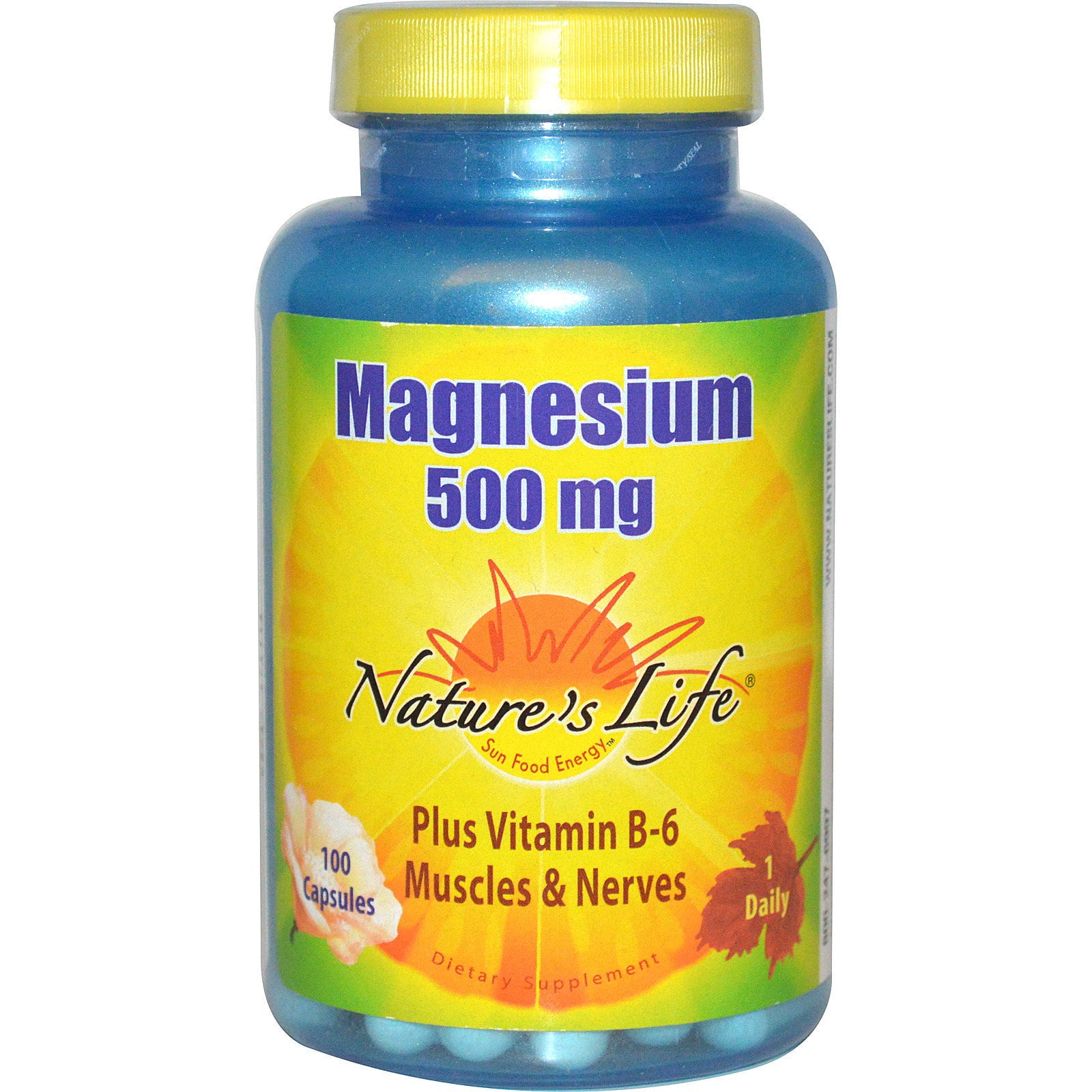 Nature's Life Magnesium 500mg | High Potency Magnesium Supplement Plus