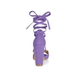 thumbnail image 2 of BLISSFUL STEP Women's Sandals Solid Crisscross Block Heels High Heel Lace up Sandals Purple 7.5, 2 of 7