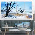 thumbnail image 1 of Beautiful Land with Large Dry Trees - Extra Large Landscape Canvas Art, 1 of 1