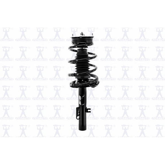 Suspension Strut and Coil Spring Assembly