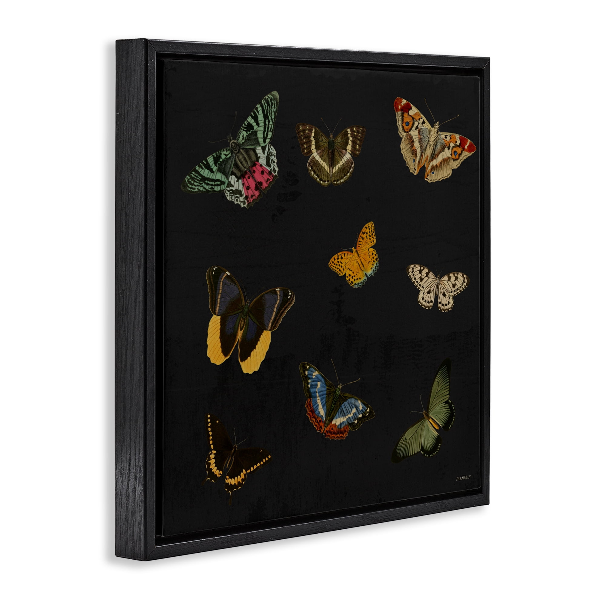 Stupell Industries Butterfly & Moth Collection Black Framed Floater Canvas Wall Art, design by Dan Meneely
