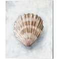 thumbnail image 3 of Great Art Now White Shell Study by Ethan Harper 2 Piece Canvas Art Set Each 12"W x 15"H, 3 of 3