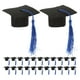 thumbnail image 1 of BRIGHTFUFU Capacitación de graduación de 24 piezas Toppers Mini Grad Cap con Tassel 2025 Graduación Cupcake Toppers Clase de 2025 Cake Decorations para favores de fiesta de graduación Azul, 1 of 7