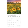 thumbnail image 4 of Sunflowers | 2026 12x24" (Hanging) Monthly Square Wall Calendar | Plato, 4 of 9