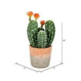 thumbnail image 2 of Vickerman FH192214 14 in. Green Potted Cactus Plastic Planter Pot, 2 of 2