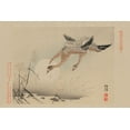 thumbnail image 2 of Unknown 14x11 Gold Ornate Wood Framed with Double Matting Museum Art Print Titled - Flying Cranes, 2 of 4