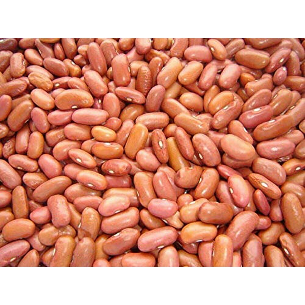 Jojo's Organic NonGmo Light Red Kidney Beans 5 lbs Bulk Legumes High