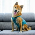 thumbnail image 3 of MesaSe Recovery Suit for Dogs - Protects Wounds  Sutures  Skin Conditions  Light Incontinence  When in Heat  after Surgery Spay/Neuter, 3 of 6