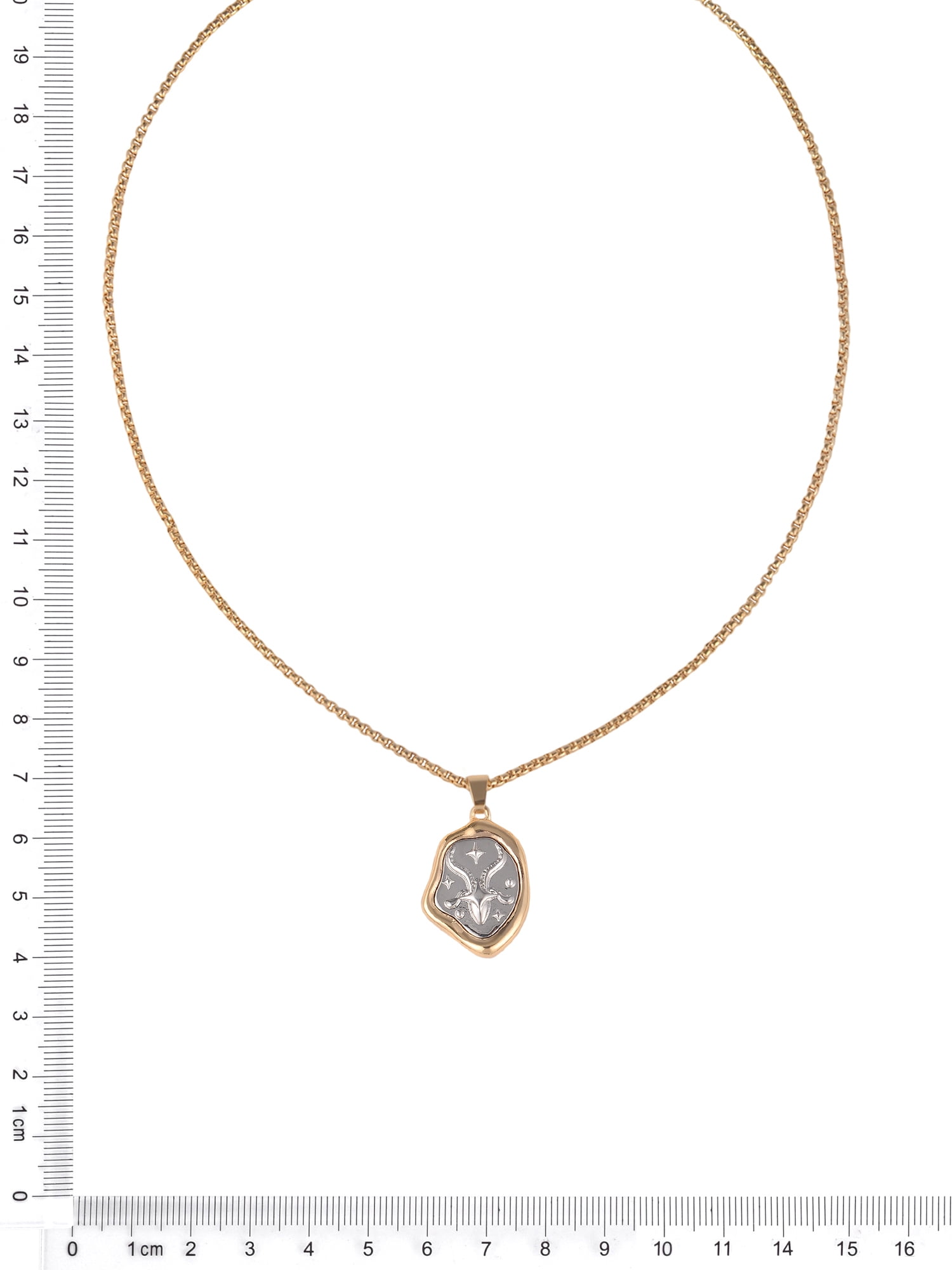 Time and Tru Goldtone Silvertone Reversible Pendant "Capricorn" Necklace