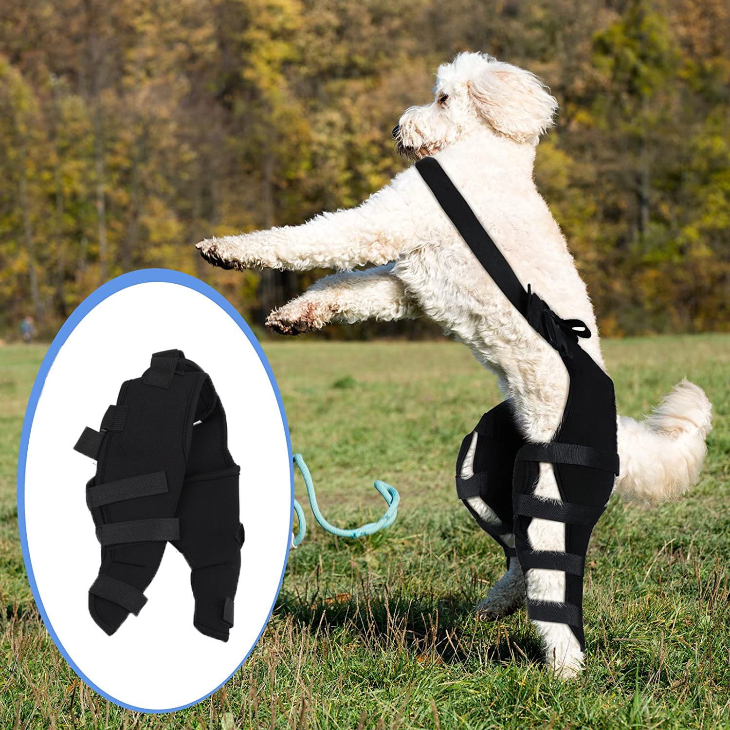 Bigking Dog Hind Legs Protector Dog Knee Brace for Hind Legs Recover