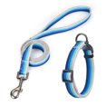 thumbnail image 1 of Apuakthei Juego de collar y correa para perro, collar personalizado para perro con etiqueta de identificación para mascota, 1 of 5
