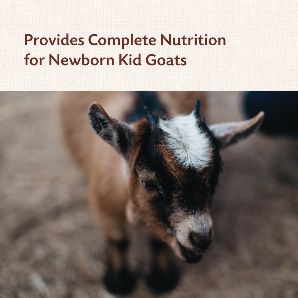 Manna Pro Goat Kid Colostrum 8 oz.
