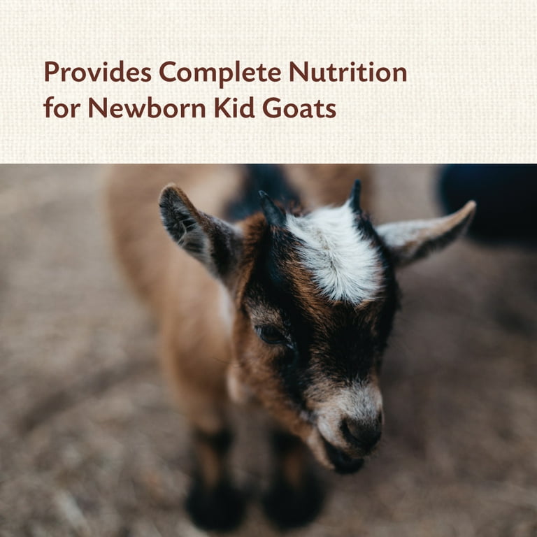Manna Pro Goat Kid Colostrum