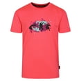 thumbnail image 1 of Dare 2B T-Shirt Singe Amuse II pour Garçons/filles, 1 of 5