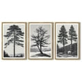 thumbnail image 5 of SHENIFY Large 24x36in3pcs Natural Framed Vintage Black Gray Forest Wall Art Antique Retro Tree Modern Decor Artwork Prints Rustic farmhouse Bedroom, 5 of 8