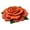 Orange, variant on Aodebiao Colorful Blooming Flowers Area Rugs for Living Dinning Room Modern Floral Print Rug Floor Carpet Mat