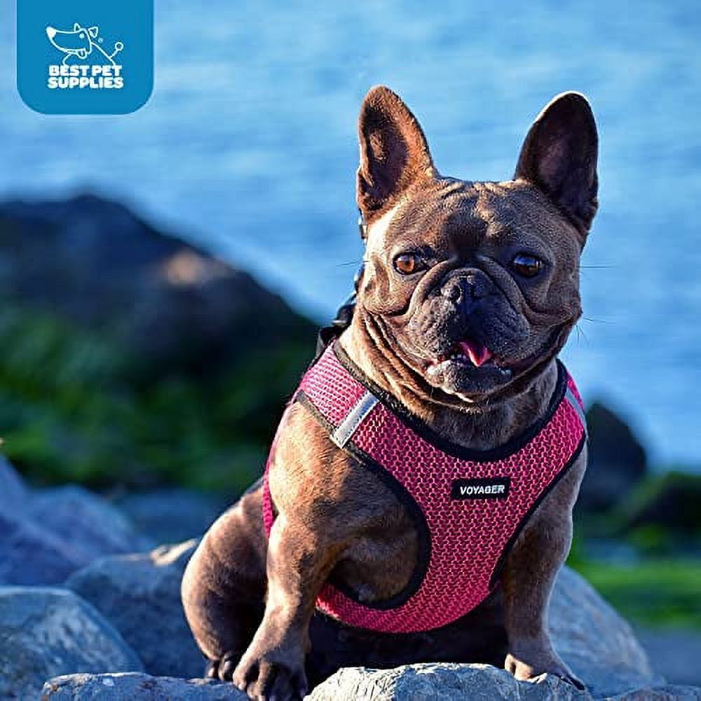 Voyager Step-In Air Dog Harness - All Weather Mesh, Step In Vest Harne –  Ultra Pickleball