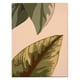 thumbnail image 1 of Hojas enmarcadas Pinturas Lienzo Colgante Fotografías Plantas Paisajes Arte de pared Estilo abstracto Pósteres Decoración moderna 2 piezas Inevent HA011164-00, 1 of 7