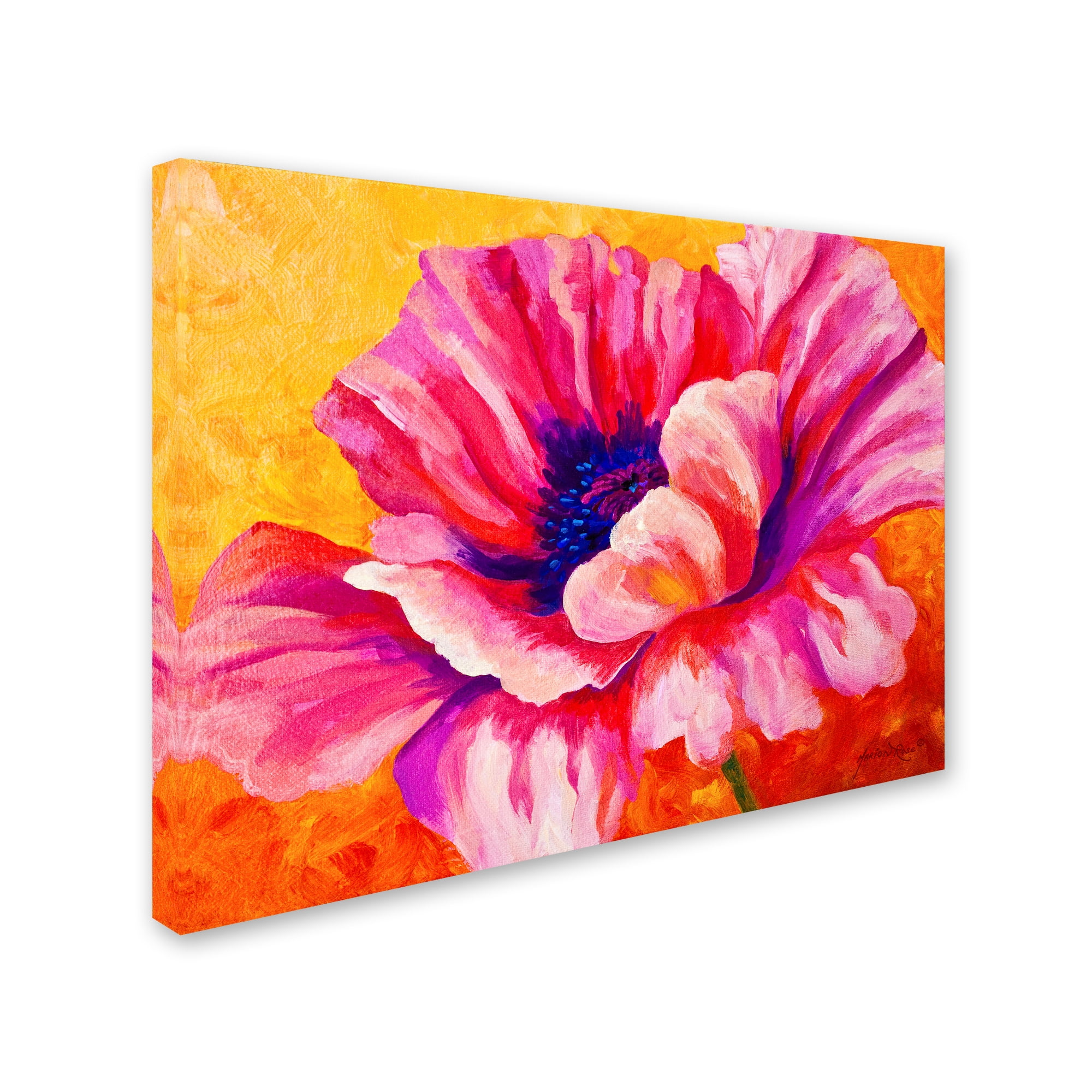Trademark Fine Art 'Pink Poppy' Canvas Art by Marion Rose