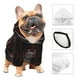 thumbnail image 3 of Balery Spider with Skull Sudadera con Capucha para Perros Pequeños – Ropa para Mascotas, Disfraz para Perros y Gatos, Ideal para Fiestas y Cosplay-X-Large, 3 of 7