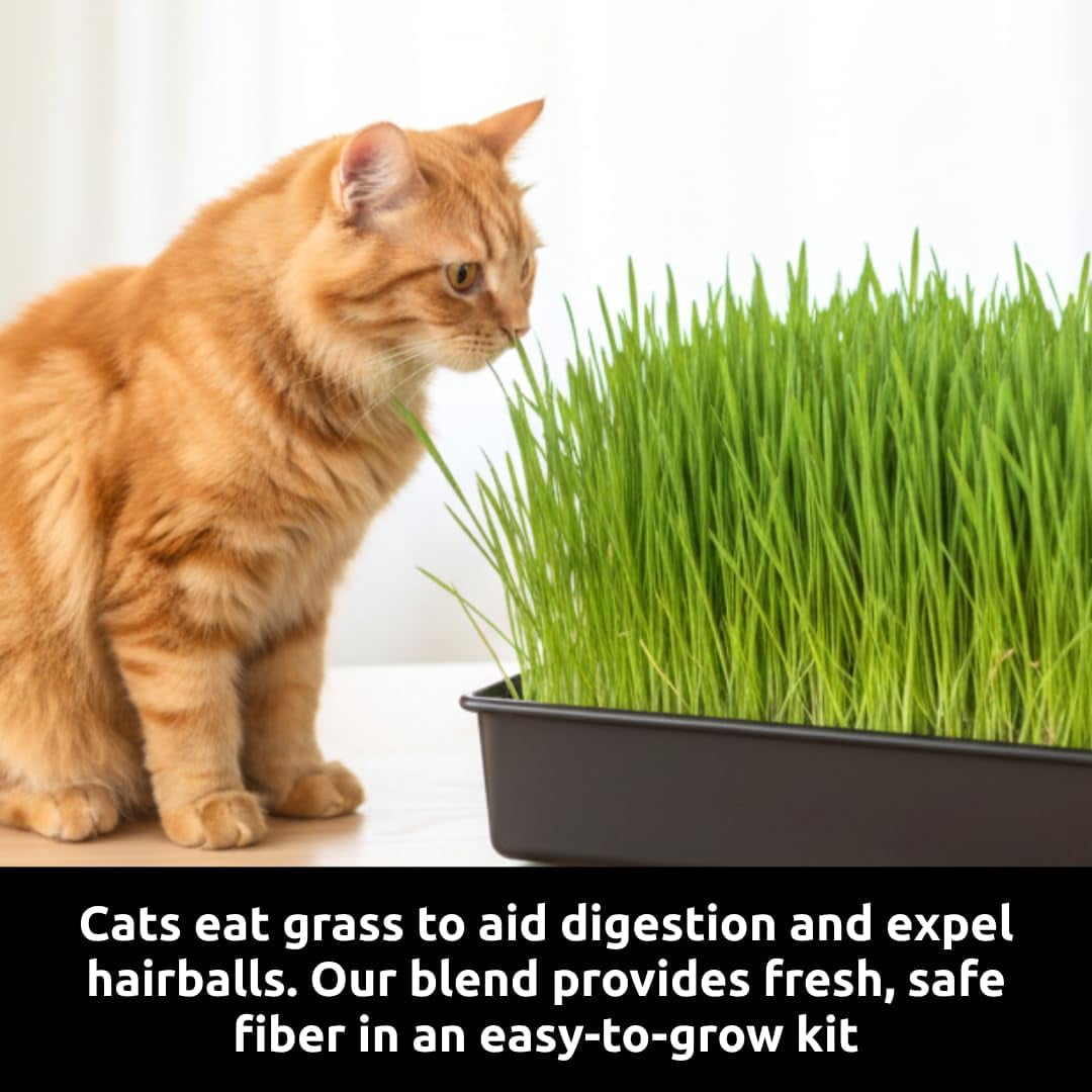Cat Grass Growing Kit - Organic Seed, Jute Grow Mats, 10 x 10 Grow Container - Great for Indoor or Outdoor Cat, Dogs and Other Pets - TRAYS NOT INCLUDED (Refill 3X Jute & 3X Seed Packets)