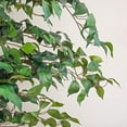 thumbnail image 4 of Nearly Natural Artificial Trees, 84in, Green, 4 of 5