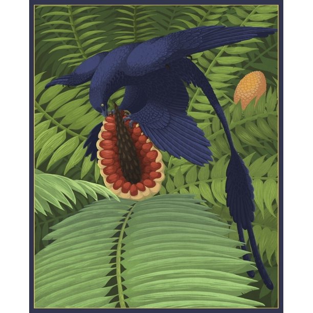 microraptor gui
