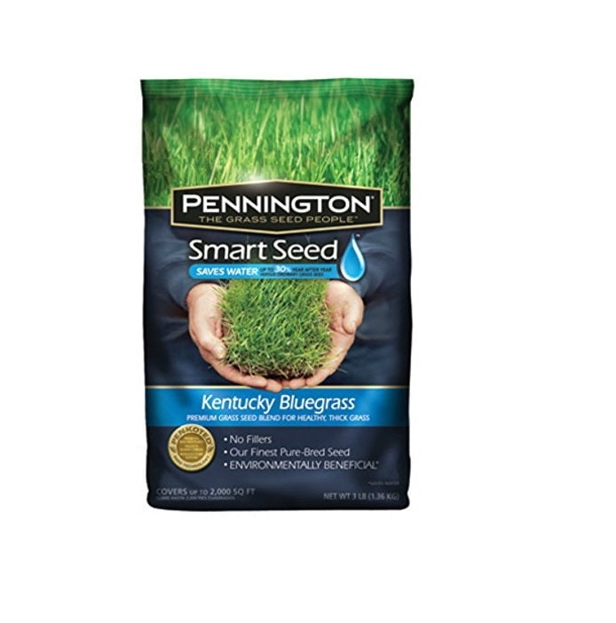 Pennington Pennington 100526631 Smart Seed Kentucky Bluegrass Seed, 3