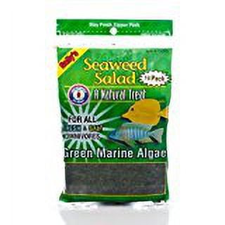 San Francisco Bay Brand Seaweed Salad Green 10Ct (30G) (Pack of 1