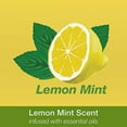 thumbnail image 3 of Bona Lemon Mint Multi-Surface Floor Cleaner, for Stone Tile Laminate and Vinyl, Spray, 32 Fl Oz, 3 of 3
