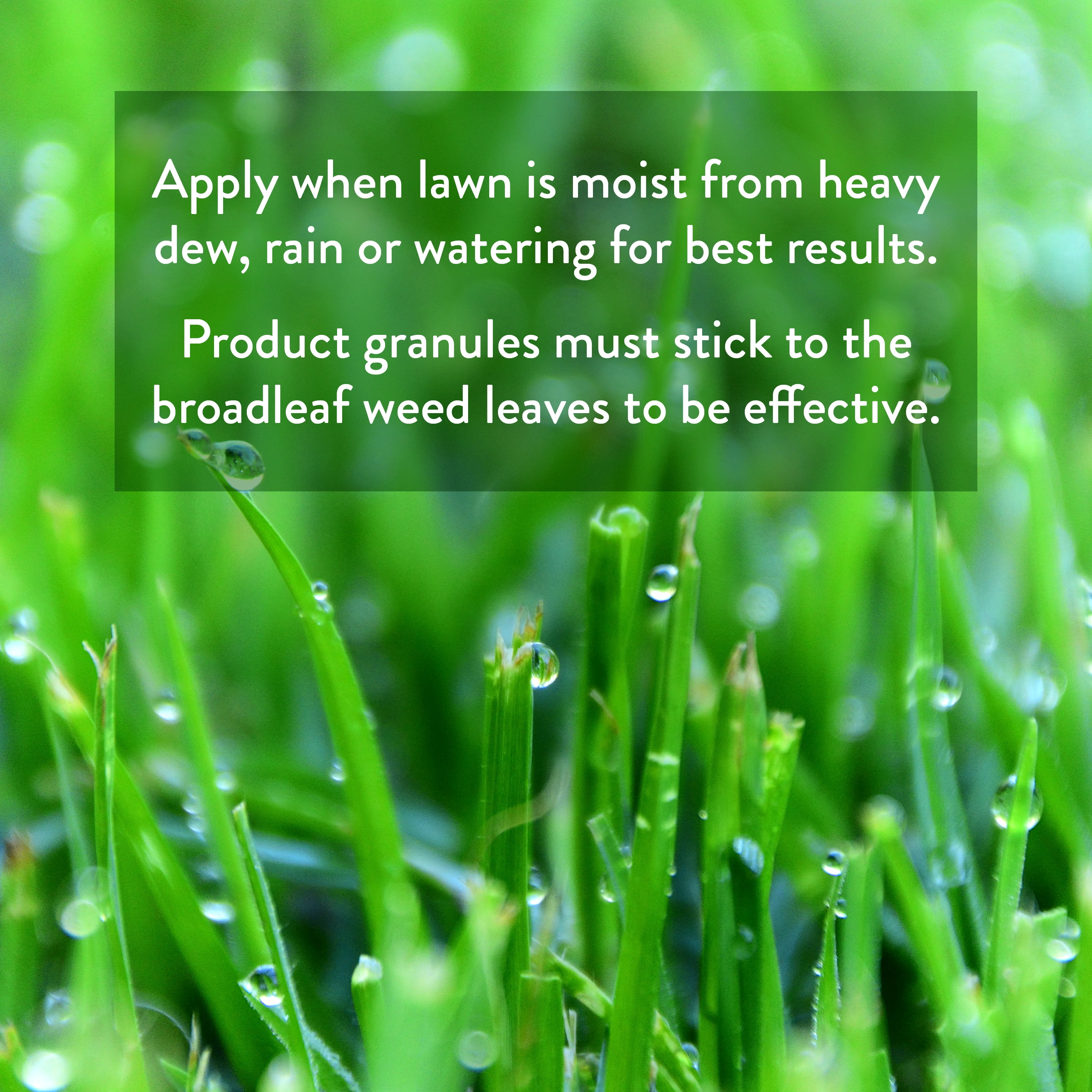 GreenView Broadleaf Weed Control + Lawn Food - 13 lb. - Covers 5,000 Sq. ft.