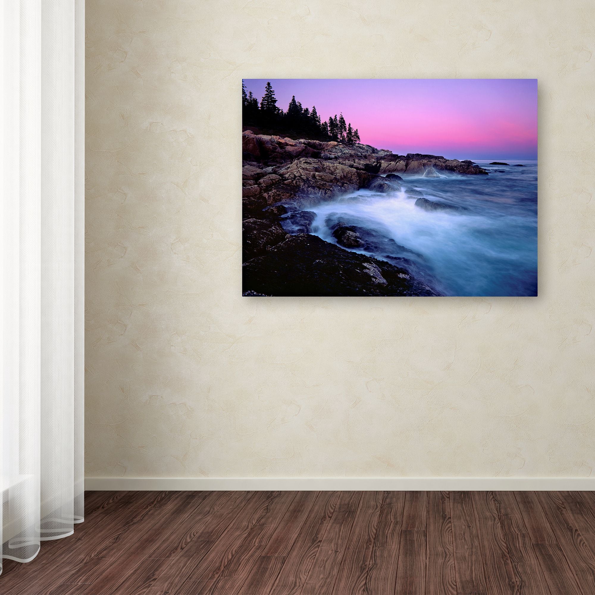 Trademark Fine Art 'Acadia Dusk' Canvas Art by Mike Jones Photo