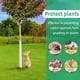 thumbnail image 5 of Protector de de Árbol para Plantas, Protector de Plástico A Prueba de Picaduras, Herramienta de Protección de Plantas, Accesorio de Jardín A, 5 of 5