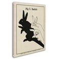 thumbnail image 2 of Trademark Fine Art 'The Art of Shadows V' Canvas Art by Mary Urban, 2 of 3