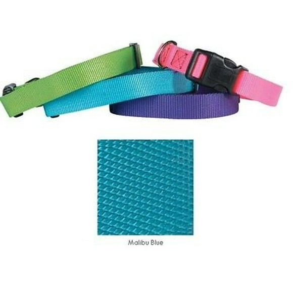 Coordinating Nylon Dog Collars Leads & Harnesses for Dogs Choose Sizes & Colors(18 to 26 x 1 Inch Collar - Malibu Blue)