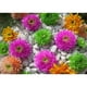thumbnail image 1 of Pintura de diamante (DB3163) 5D flor cuadrada diy bordado sala de estar (YF018) 30x40cm FLhrweasw Nuevo, 1 of 1