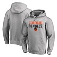 thumbnail image 4 of Chandail en Molleton Tigre de Football NFL NBA MLB NHL Chandail à Capuche, 4 of 5