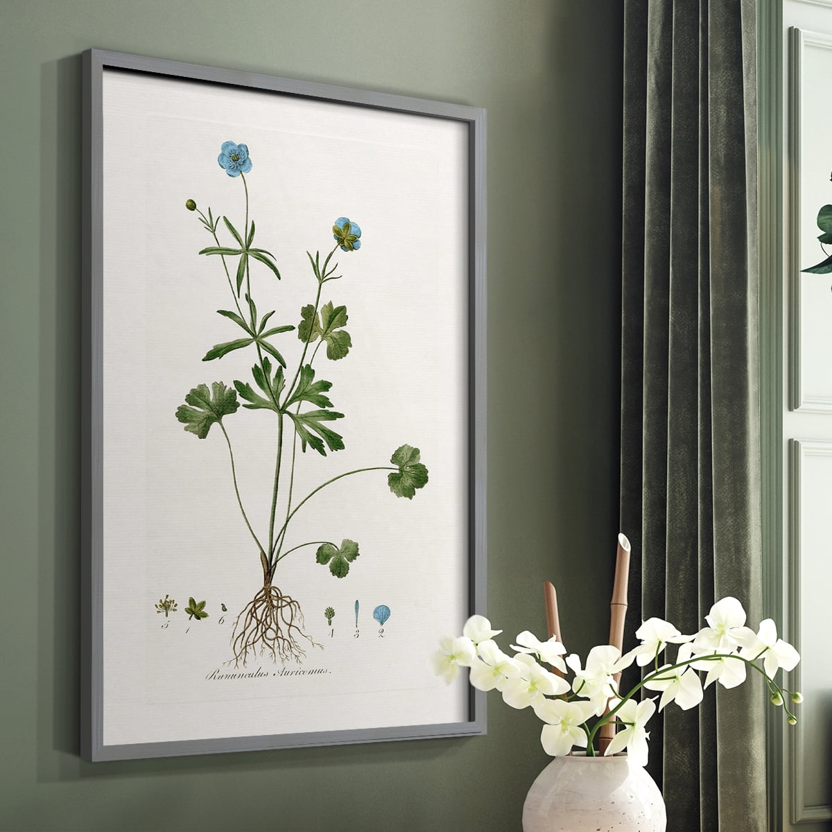 Buttercup Study Framed Print in Gray Solid Wood Framed Print No Nail Hanging
