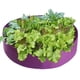 thumbnail image 2 of Cultivo De Plantas De Fieltro Macetas De Plantas De Fieltro Contenedores De Cultivo De Vegetales Duraderos Reutilizables Para Patio De Terraza Minnieouse HA039822-08, 2 of 6