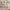 Ivory/Pink, variant on Nourison Passion Bohemian Ivory/Pink 5'3" x 7'3" Area Rug, (5x7)
