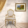thumbnail image 3 of Haney, Chuck 18x13 Gold Ornate Wood Framed with Double Matting Museum Art Print Titled - Maple tree and fence at Jewell Meadows Wildlife Area near Jewell-Oregon-USA, 3 of 4