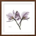 thumbnail image 2 of Art.com Orchid Lavender Premium Giclee Print by Albert Koetsier, Brown Frame Wall Art, 21" x 21", 2 of 5