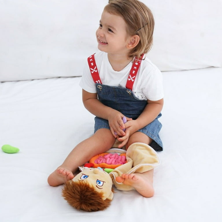 TZGSONP Detachable Human Body 3D Organ Toy for Ages 3+ Anatomy Models, Plush/Fabric Multicolor