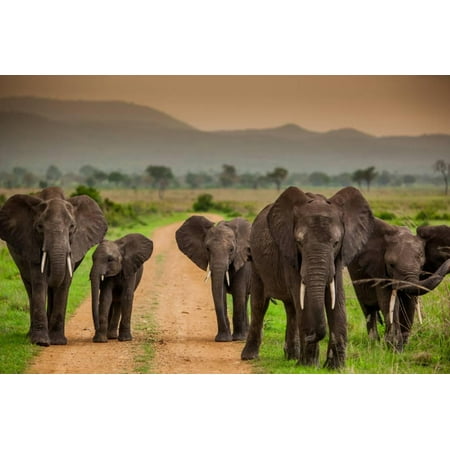 African Safari Wall Art African Elephant Family on Safari, Mizumi Safari Park, Tanzania, East Africa, Africa Print Wall Art By Laura Grier ()