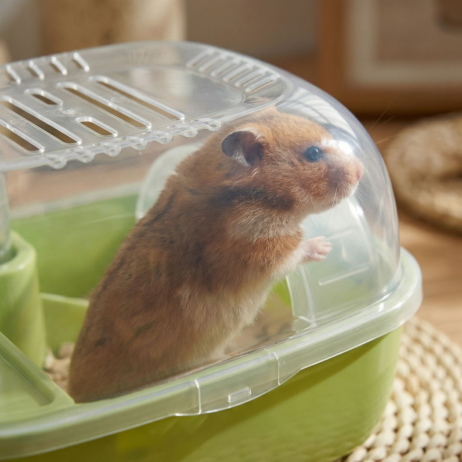 Hamster Cage, Transparent Habitat With Secure Locking Door, Ventilated Design For Small Pets Green 1Pc