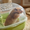 thumbnail image 5 of Hamster Cage, Transparent Habitat With Secure Locking Door, Ventilated Design For Small Pets Green 1Pc, 5 of 6