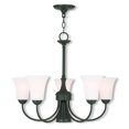 thumbnail image 1 of Six Light Chandelier, 1 of 1
